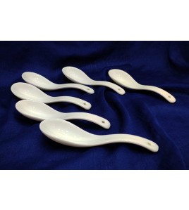 6 Piece Spoon Set