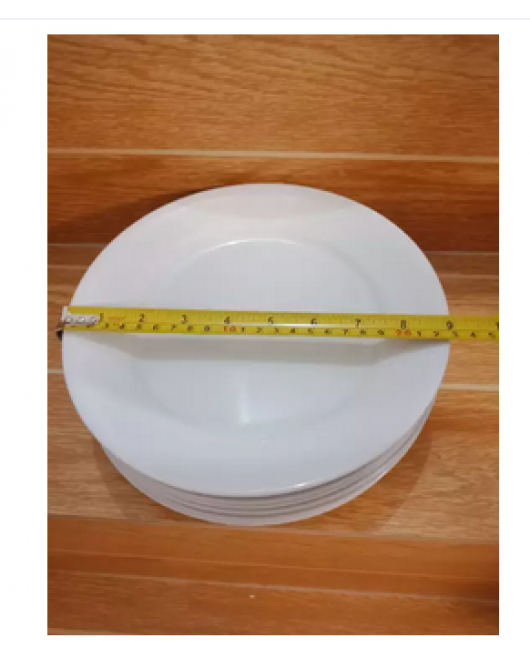 9 Inches Dinner Plate 9 Inches Dinner Plate