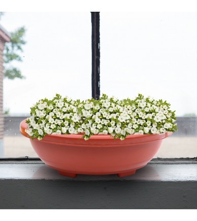 Bonsai Flower Pot Set