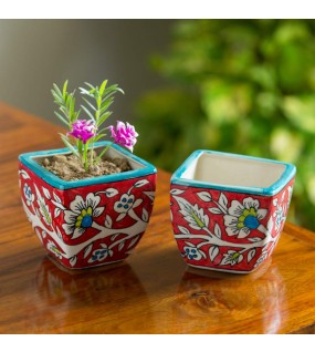 Ceramic Planters Pot Set