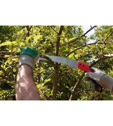 Chromium Steel Saw