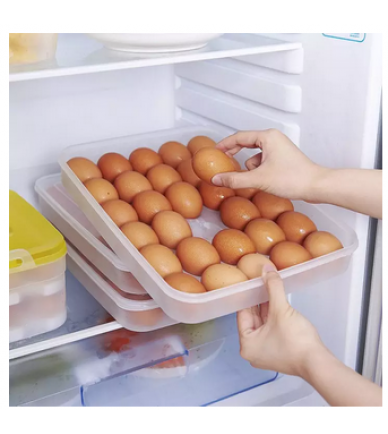Egg Case Organizer