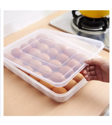 Egg Case Organizer