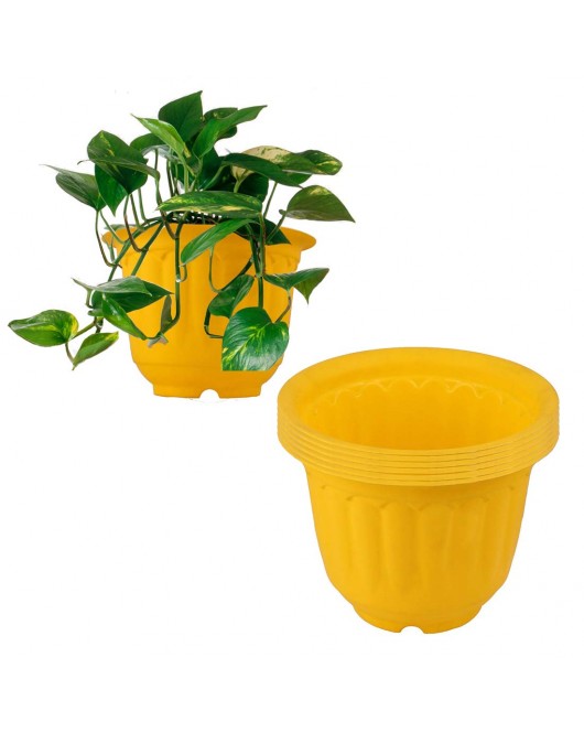 Jasmine Pots Set Jasmine Pots Set