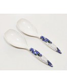 Long Serving Spoon Long Serving Spoon