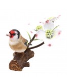 Multicolor Bird Showpiece Multicolor Bird Showpiece