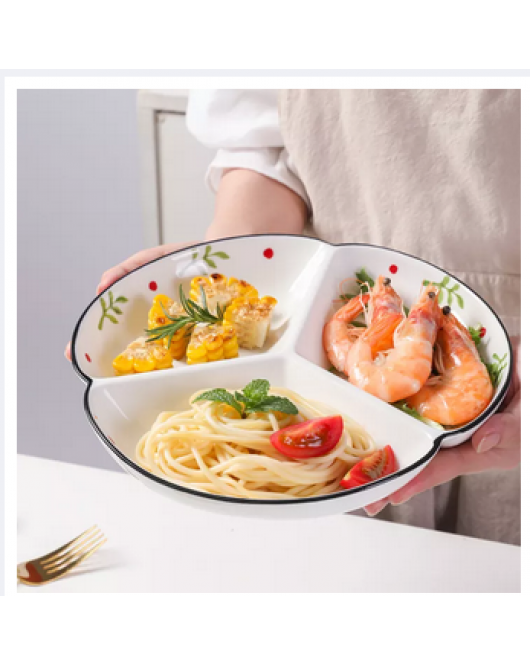 Quantitative Ceramic Division Plate Quantitative Ceramic Division Plate