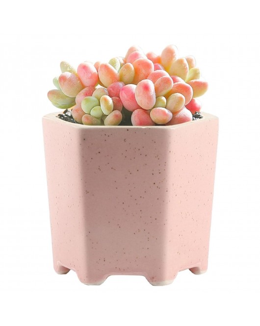 Balcony Decorative Flower Pot Balcony Decorative Flower Pot