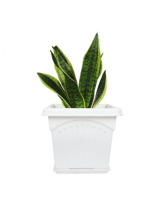 Outdoor Gardening Square Flower Pot