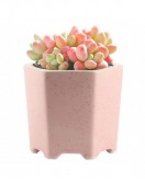 Deluxe Home & Kitchen Perfection Set – Organize, Adorn & Dine in Style! Deluxe Home & Kitchen Perfection Set – Organize, Adorn & Dine in Style!