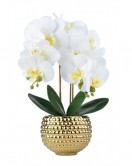 Deluxe Home & Kitchen Perfection Set – Organize, Adorn & Dine in Style! Deluxe Home & Kitchen Perfection Set – Organize, Adorn & Dine in Style!